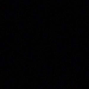 Meet your Posher, Maddie